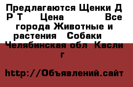 Предлагаются Щенки Д.Р.Т.  › Цена ­ 15 000 - Все города Животные и растения » Собаки   . Челябинская обл.,Касли г.